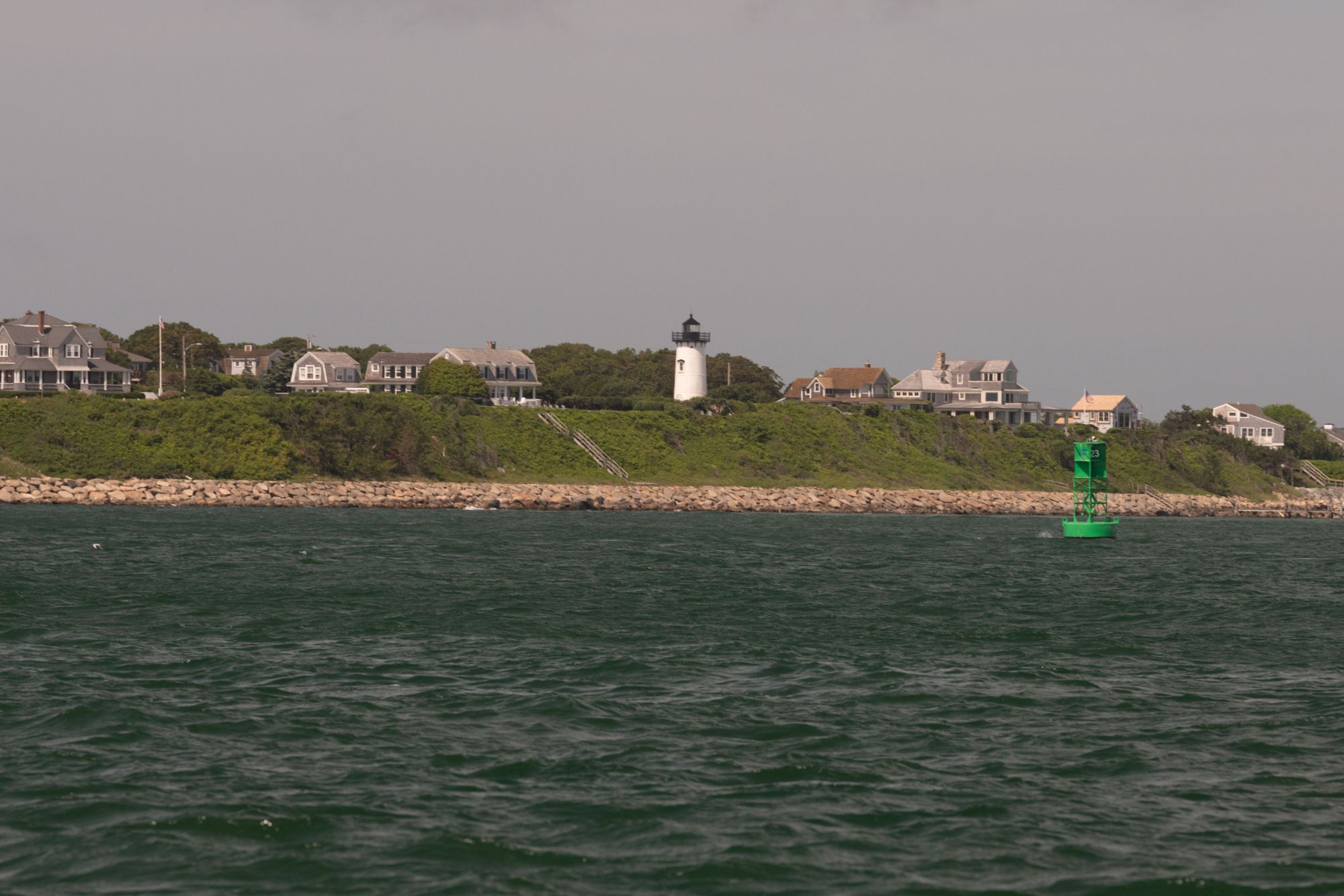 DSC 3768 3